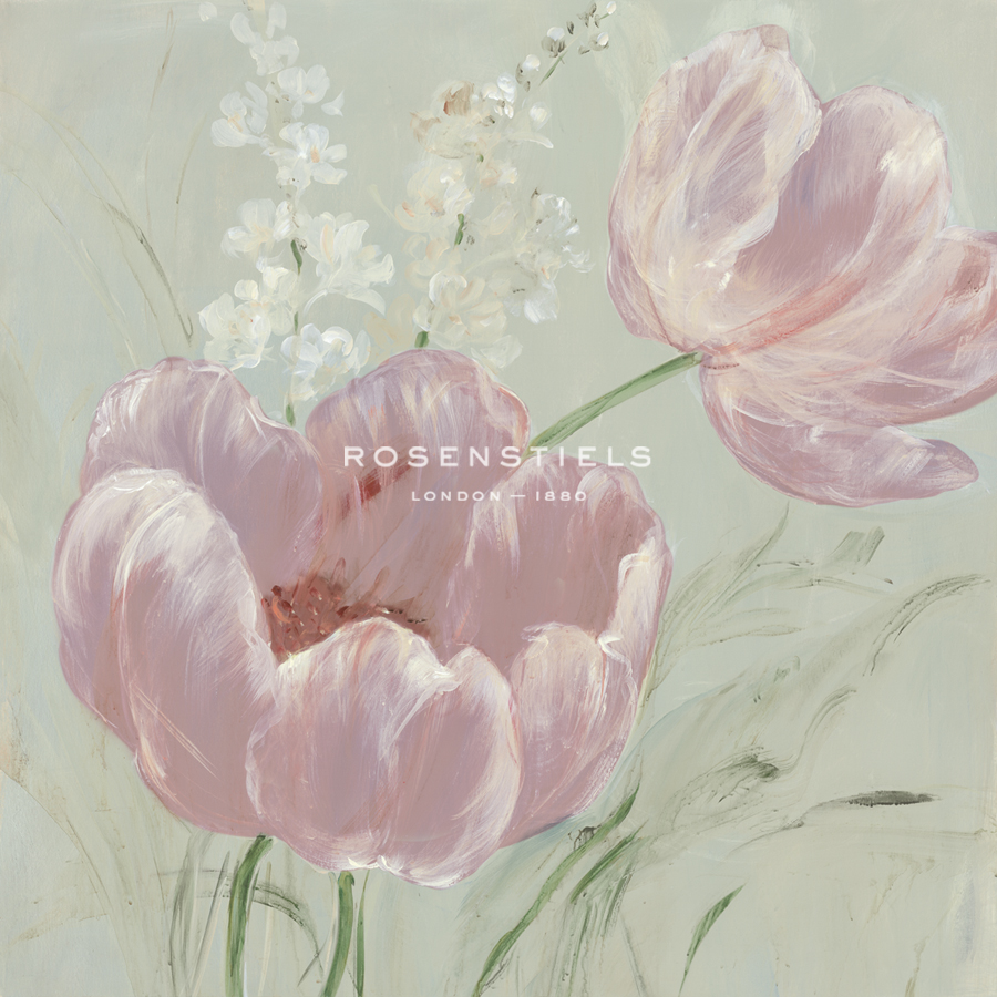Fine Tulip II - Blush - Maria Mendez