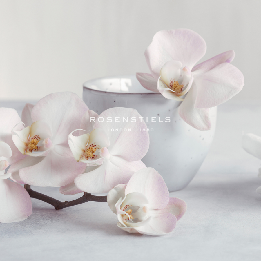 Orchid - Tranquil - Assaf Frank