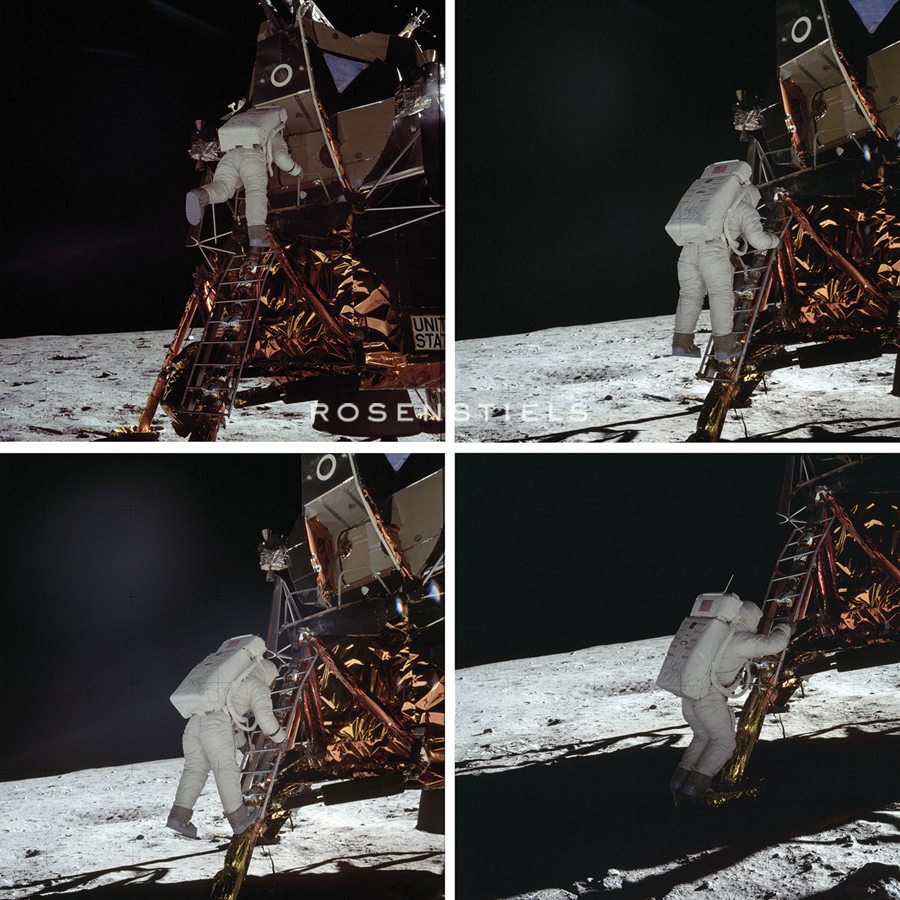 Eagle Exploration - Contemporary Photography