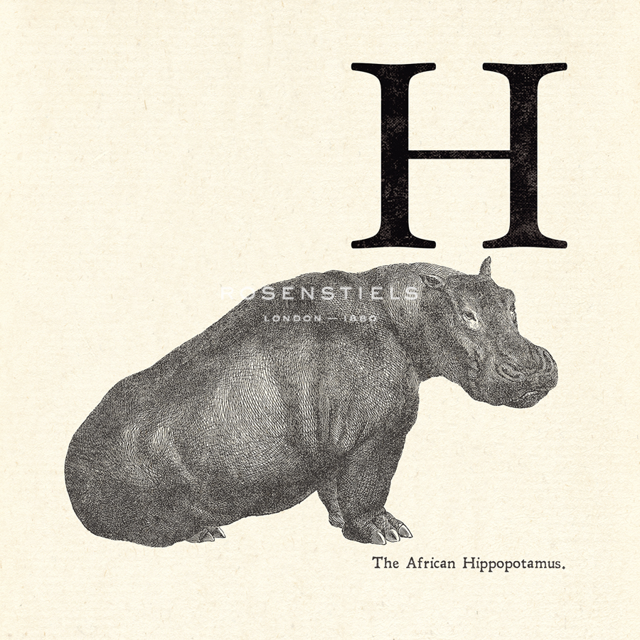 Animal Alphabet - H - The Vintage Collection
