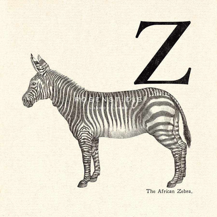 Animal Alphabet - Z - The Vintage Collection