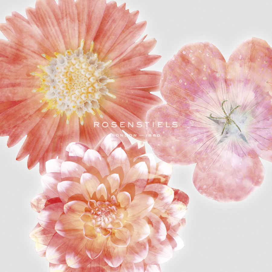 Luminescent Blooms - Collezione Botanica