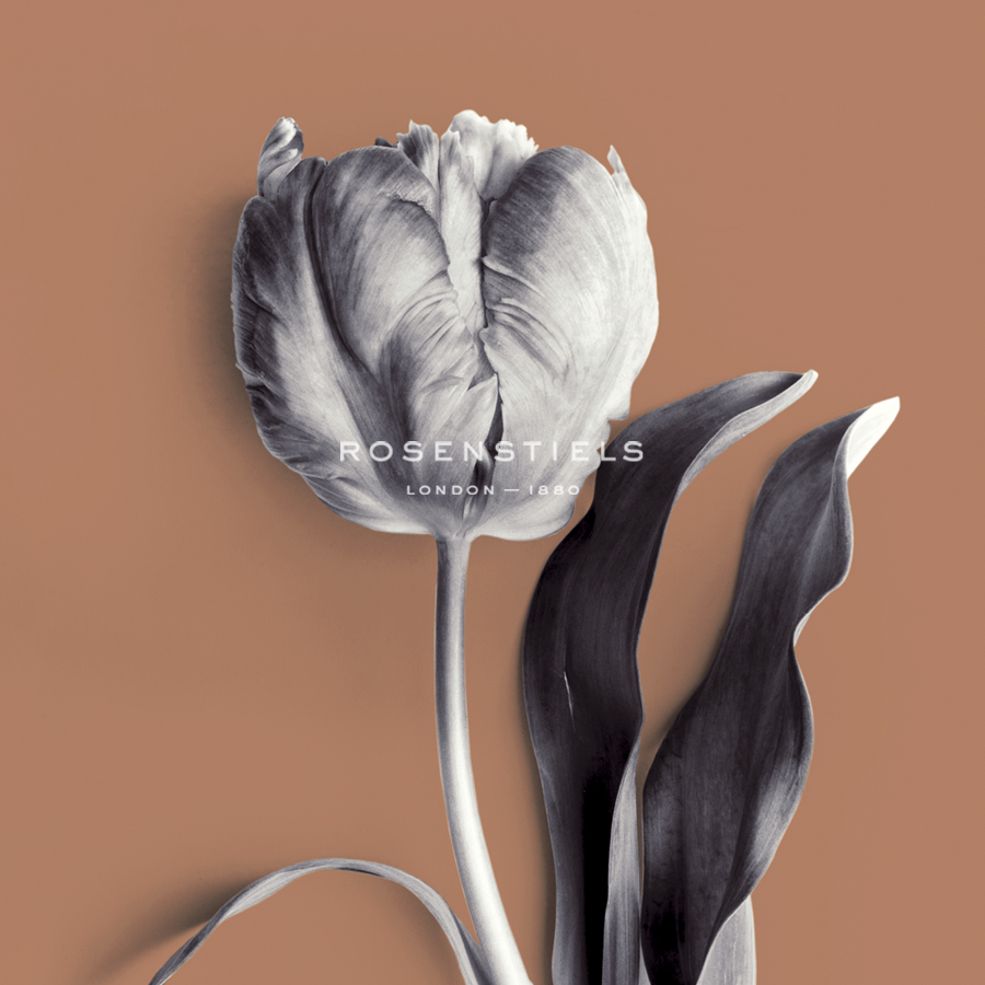 Tulipano Almond - Bill Philip