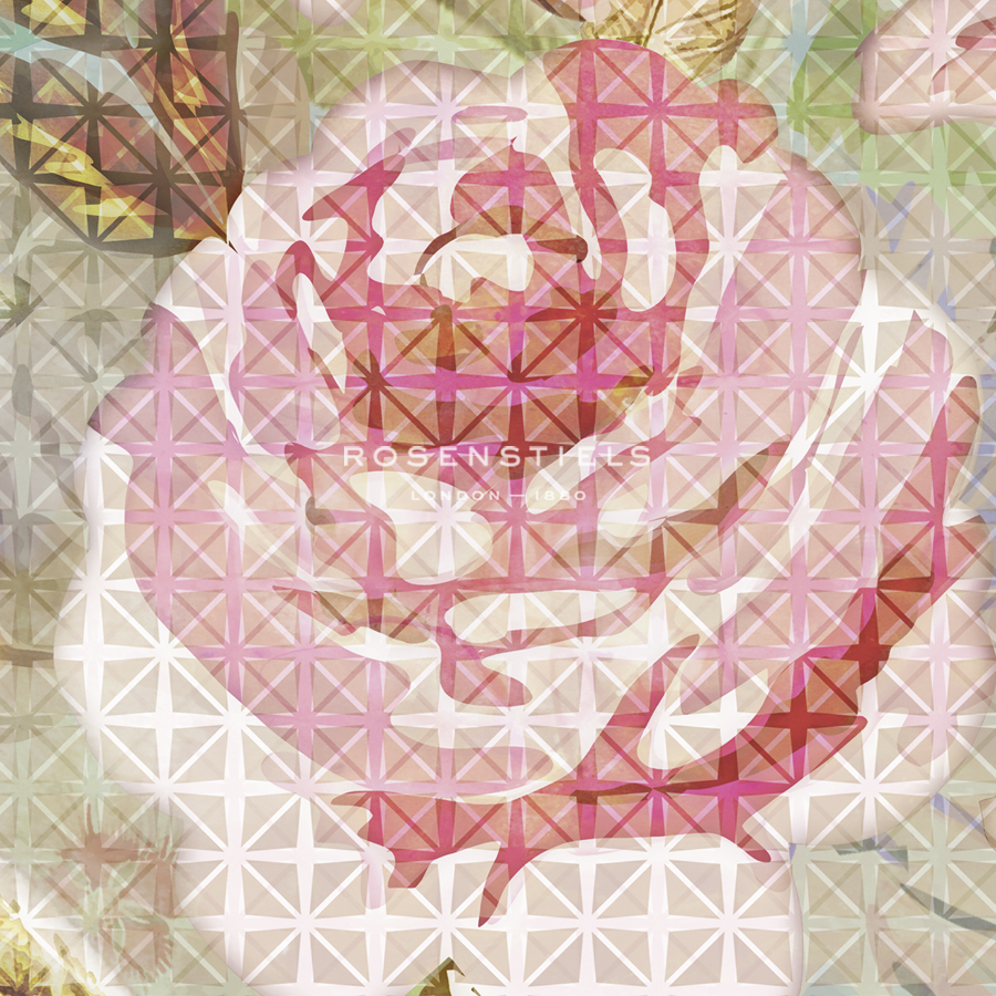Rasterised Rose - Stefan Jans