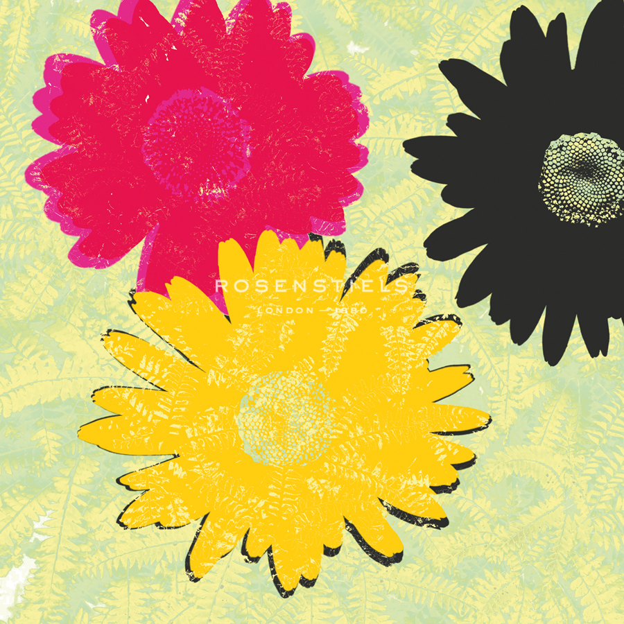 Floral Fiesta - Blooms - Belle Poesia