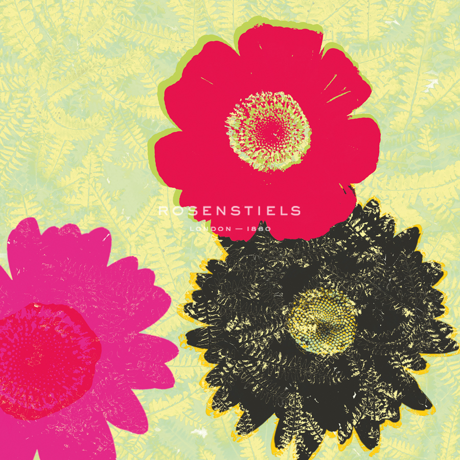 Floral Fiesta - Blossoms - Belle Poesia