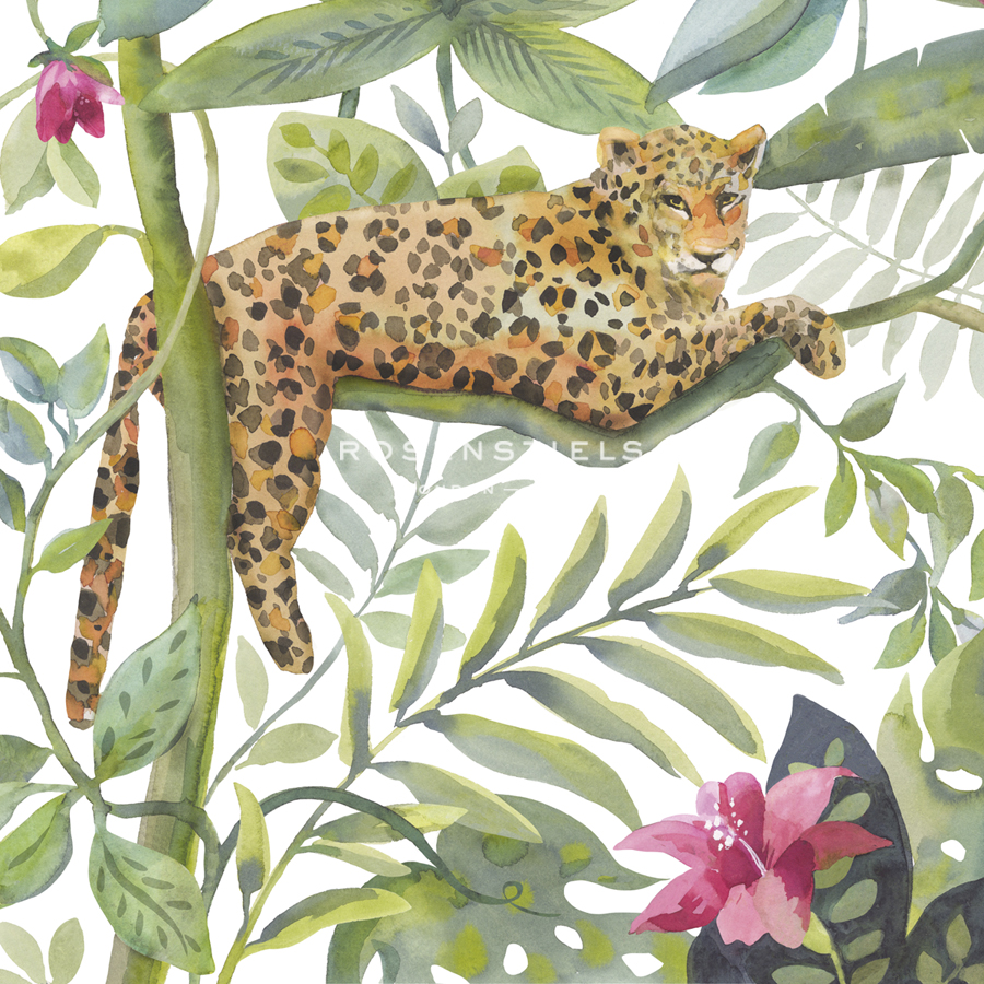 Cat Nap - Sandra Jacobs