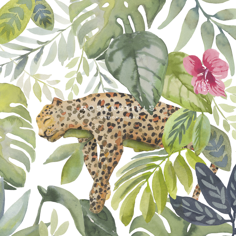 Cat Nip - Sandra Jacobs