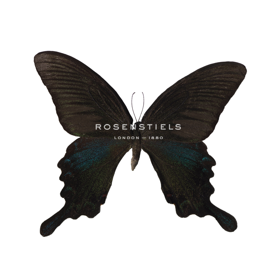 Butterfly Noir - Assaf Frank