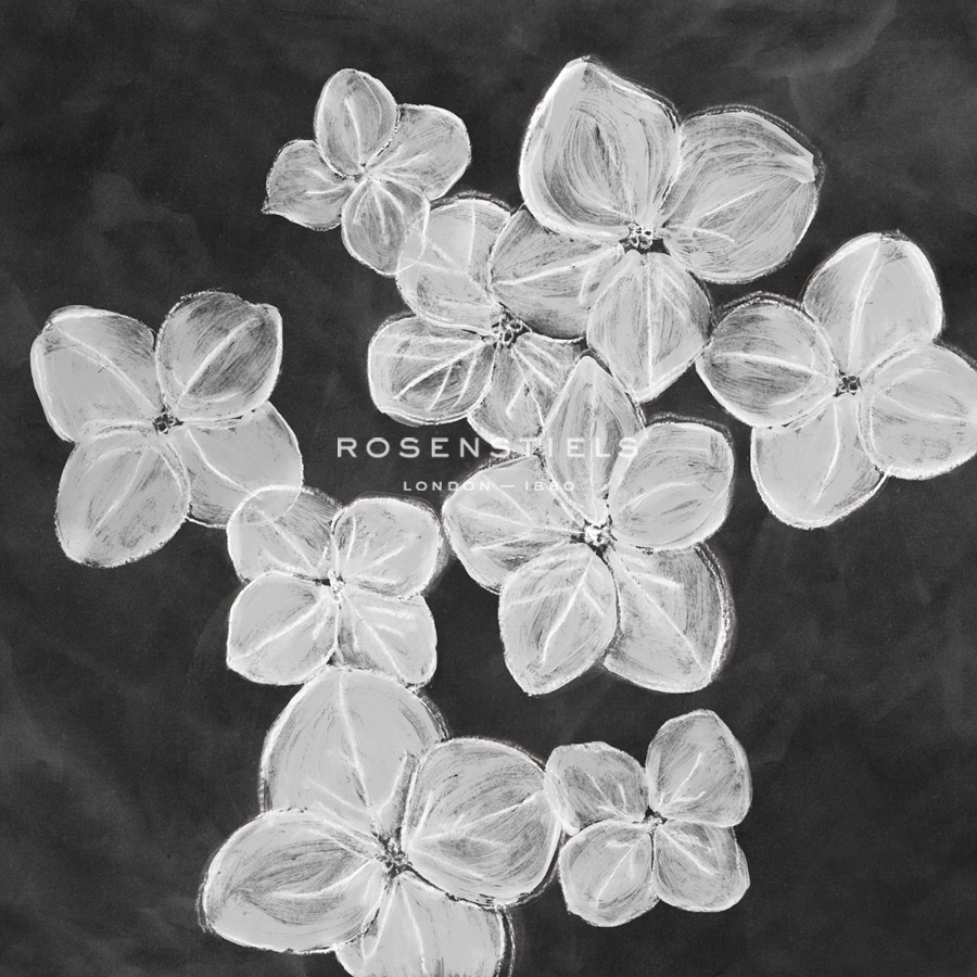 Chalky Little Flowers - Belle Poesia