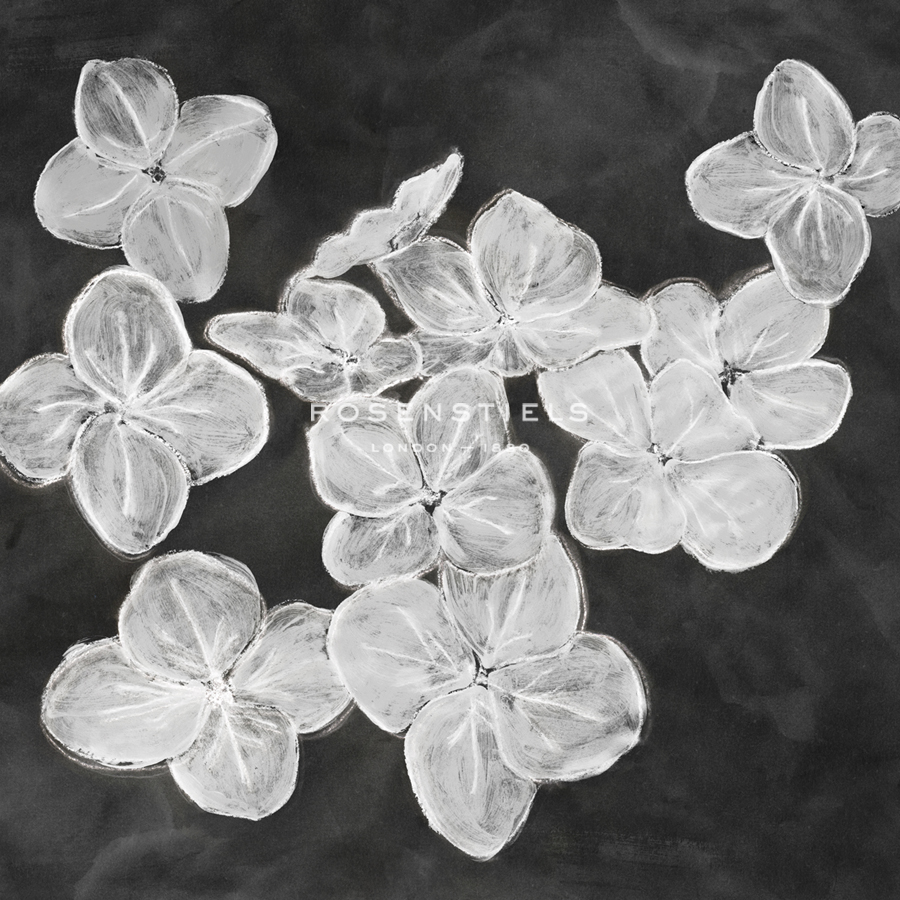 Chalky Little Petals - Belle Poesia