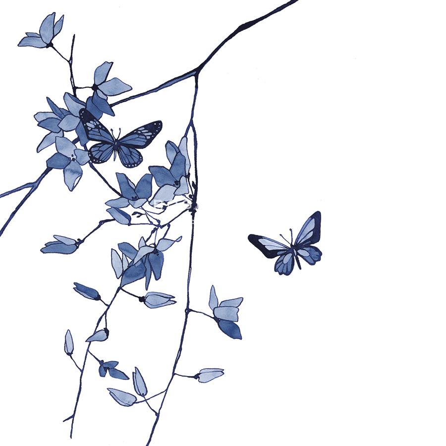 Oriental Calm - Flutter - Kristine Hegre