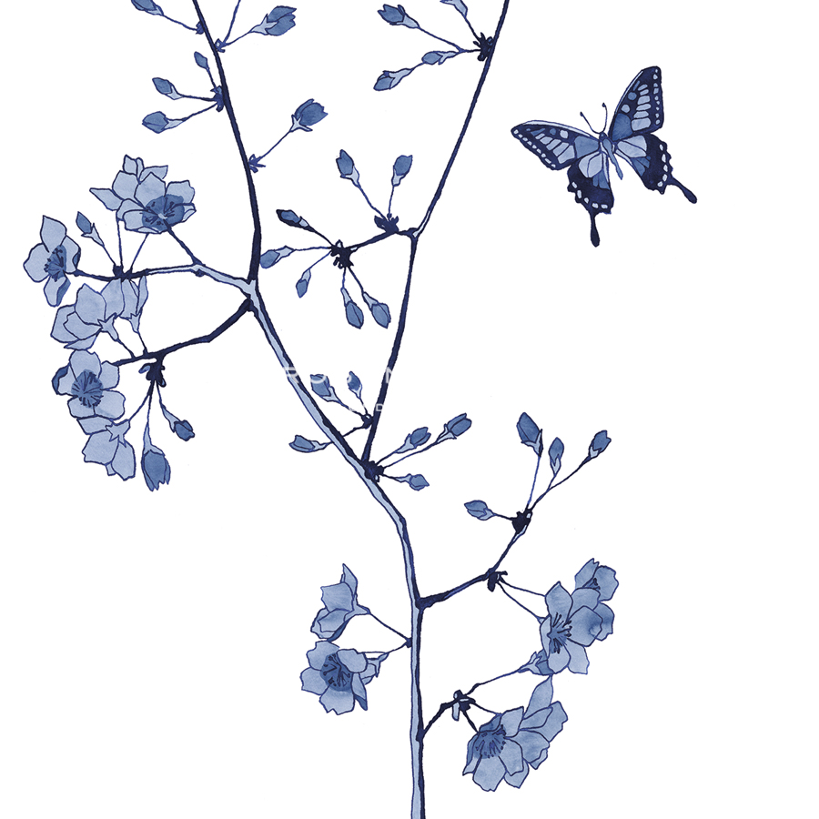 Oriental Calm - Soar - Kristine Hegre