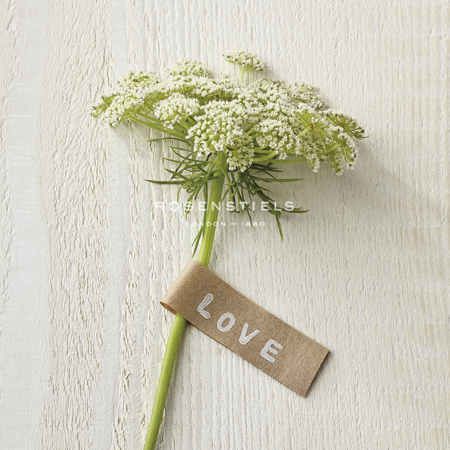 Love Note - Posy - Camille Soulayrol