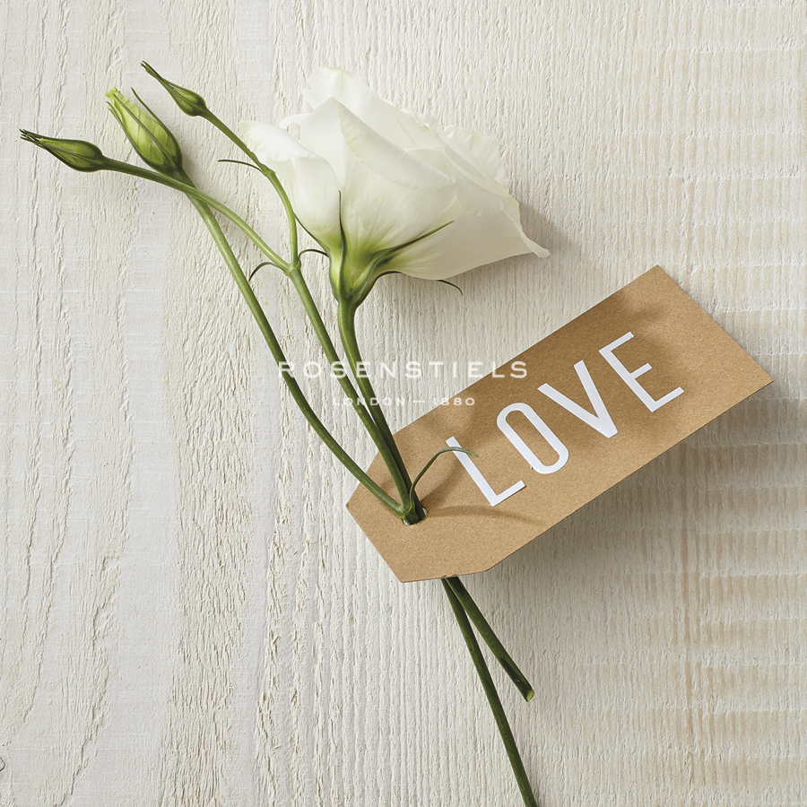 Love Note - Corsage - Camille Soulayrol