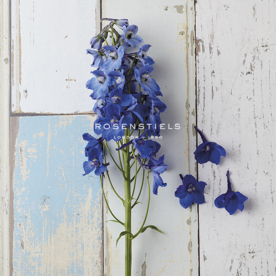 Rustic Floral - Camille Soulayrol