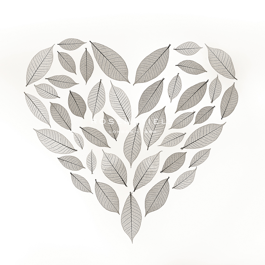 Love Leaves - Assaf Frank