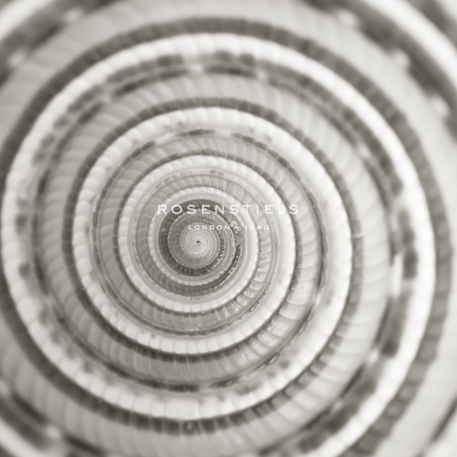 Architect Shell - Focus - Ben Wood