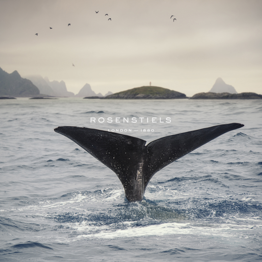 A Whale's Tail - Andreas Stridsberg