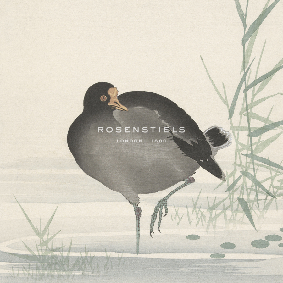 Moorhen - Ohara Koson