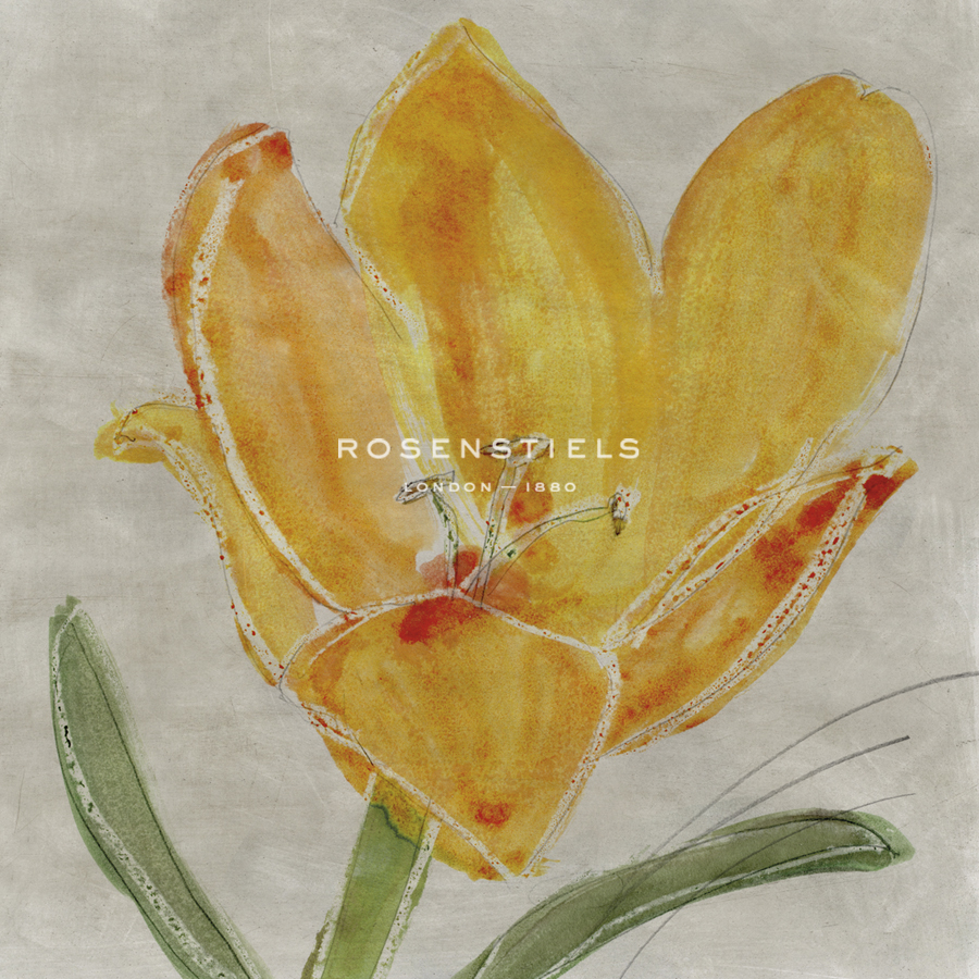 Sunlit Petals - Shine - Belle Poesia