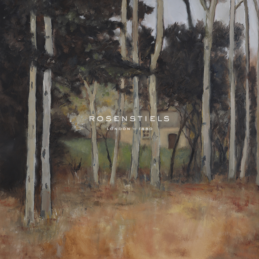 In the Woods - Bill Philip