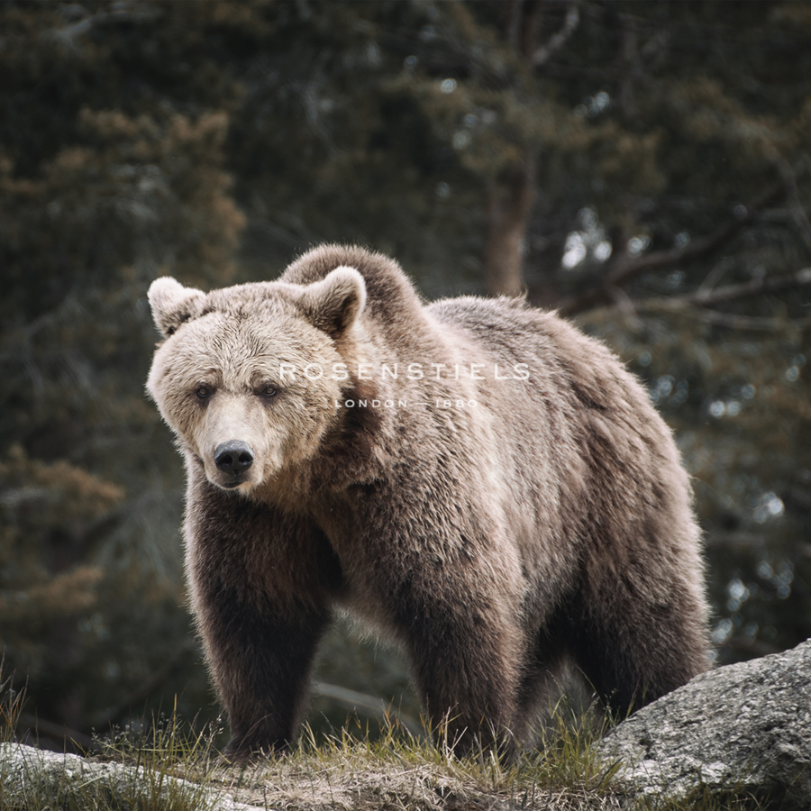 Approach - Andreas Stridsberg