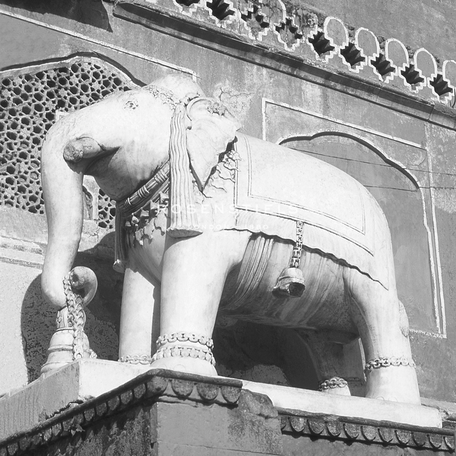 Jaipur Elephant - Petite - David Henley