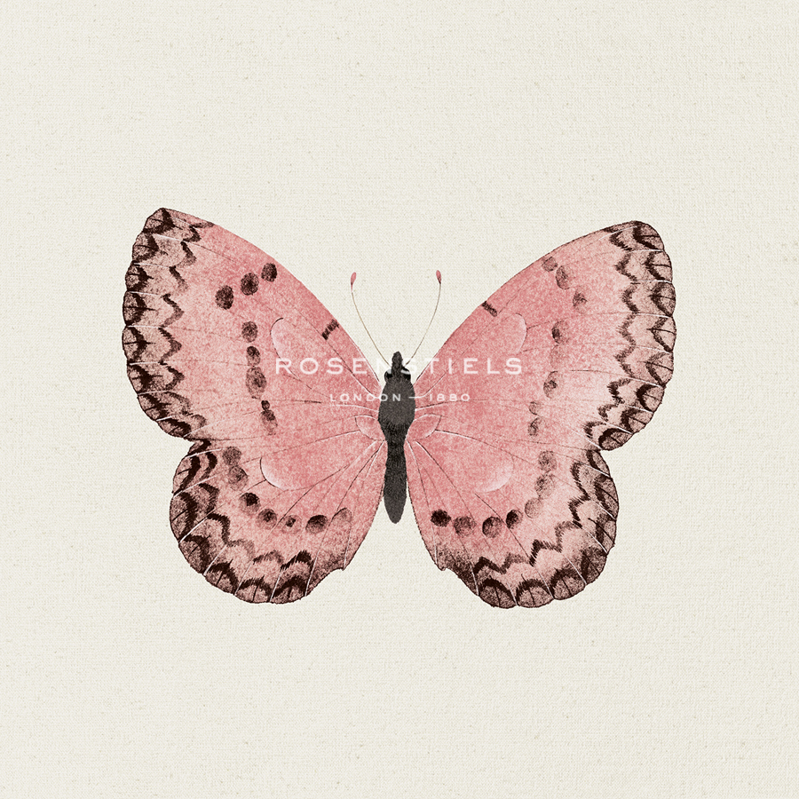 Butterfly Blush - Sophie Golaz