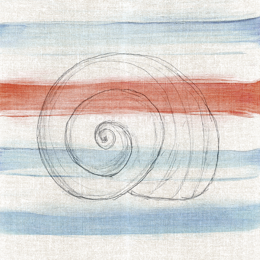 Naive Coastal - Shell - Belle Poesia