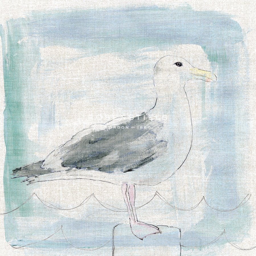 Naive Coastal - Gull - Belle Poesia