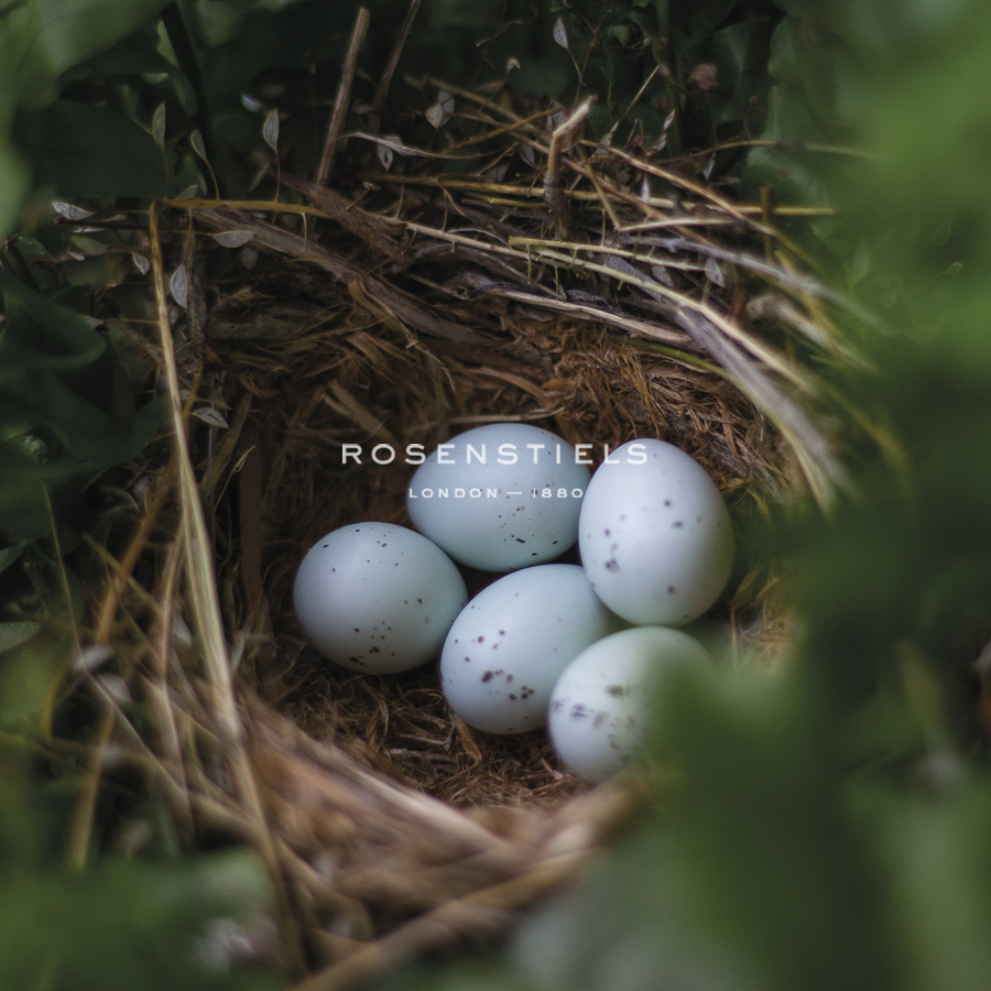 Sheltered Nest - Sarah Hart Morgan