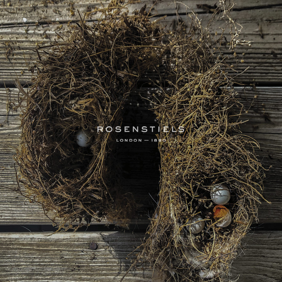 Nest Forage - Sarah Hart Morgan
