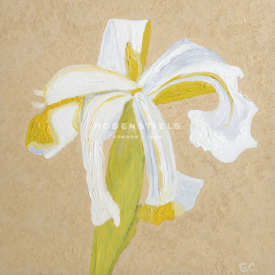 Floral Focus - Thrive - Gaetan Caron