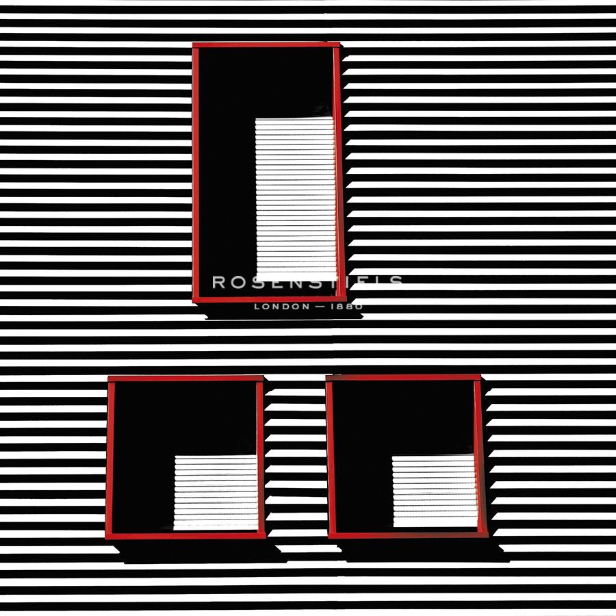 Wicked Windows - Ash Camas