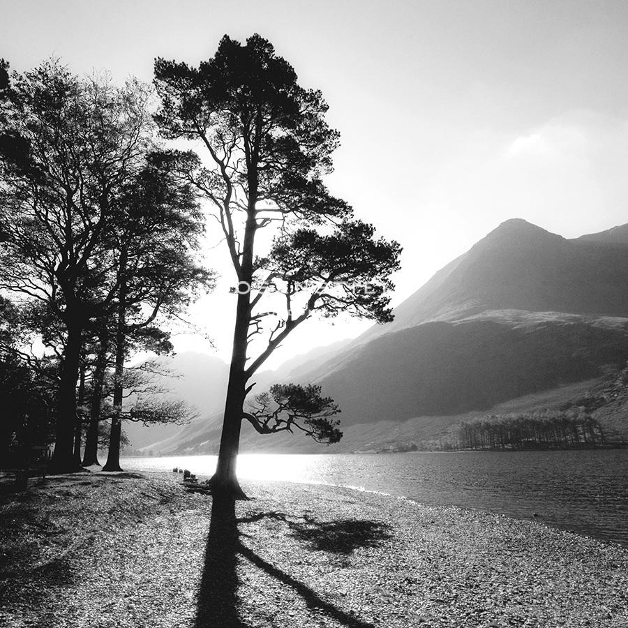 Mountain Dawn - Focus - John Harper