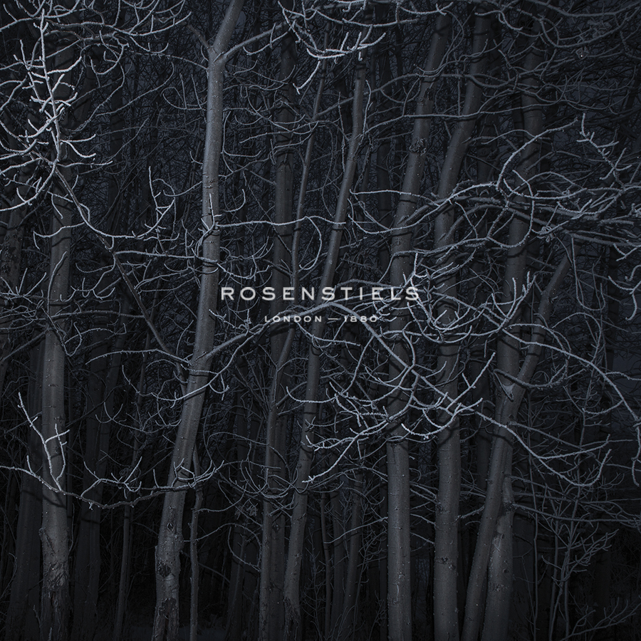 Many Trees - Andrew Geiger