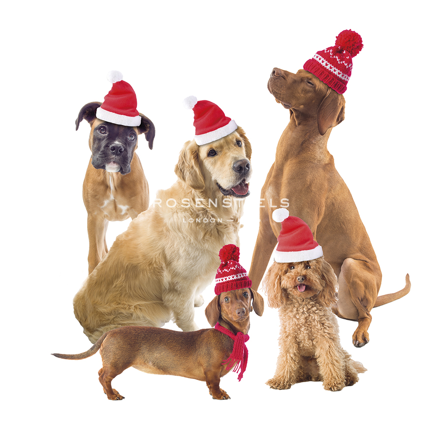 Festive Hounds - Assaf Frank
