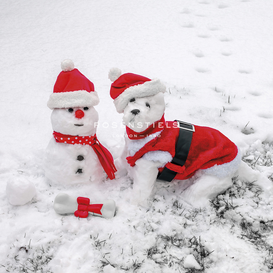 Snow Buddies - Assaf Frank