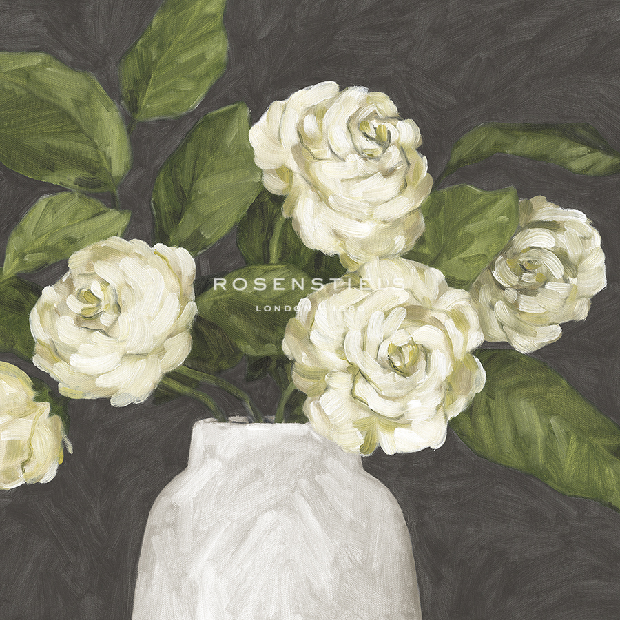 Flowers in Bloom - Rose - Kristine Hegre