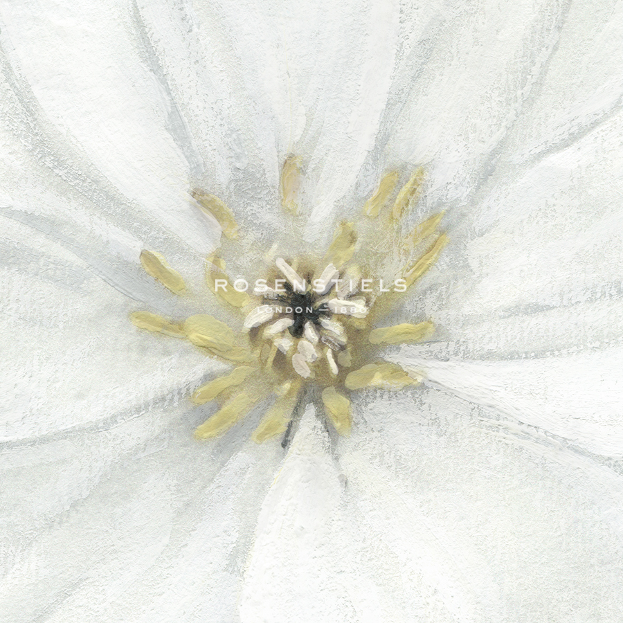 Floral Fresh - Focus - Belle Poesia