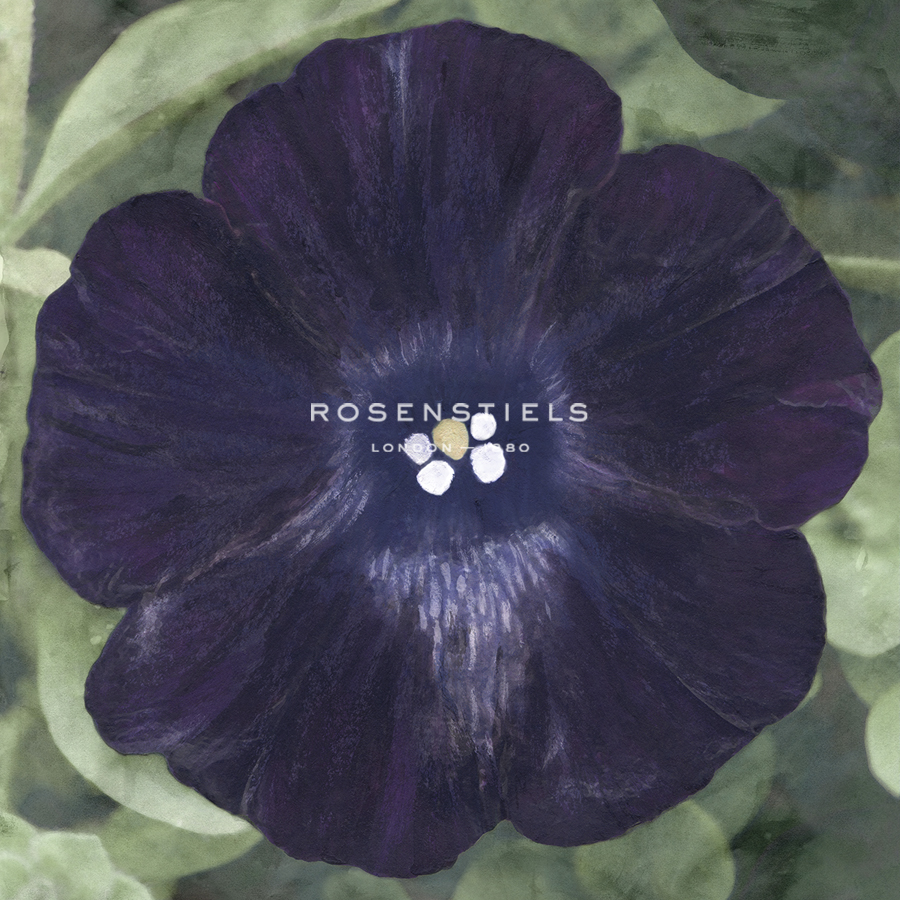 Floral Allure - Velvet - Belle Poesia