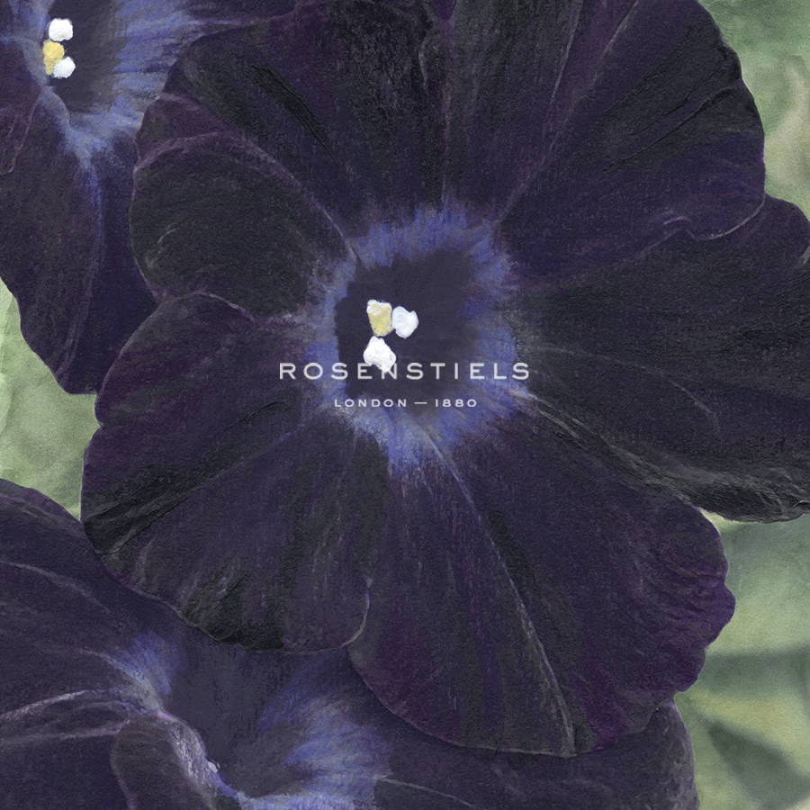 Floral Allure - Soft - Belle Poesia