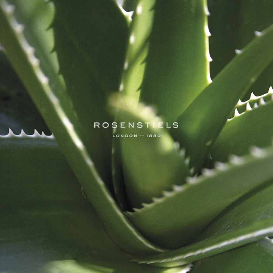 Flora Tropical - Flourish - Tony Koukos