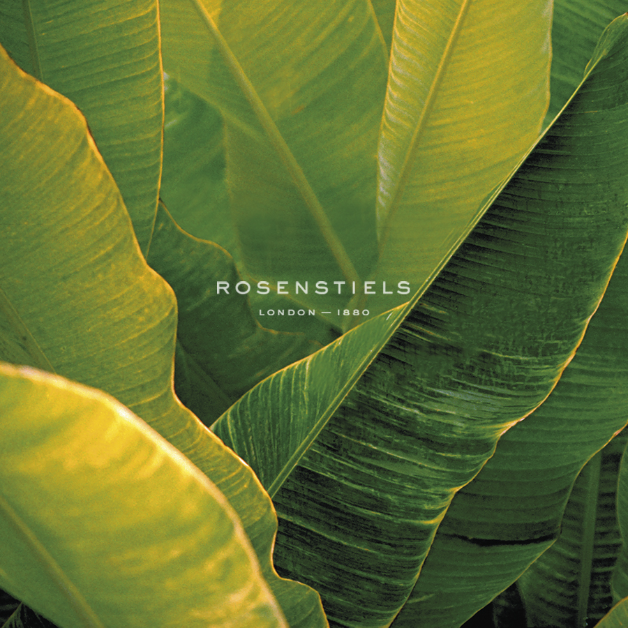 Flora Tropical - Fresh - Tony Koukos