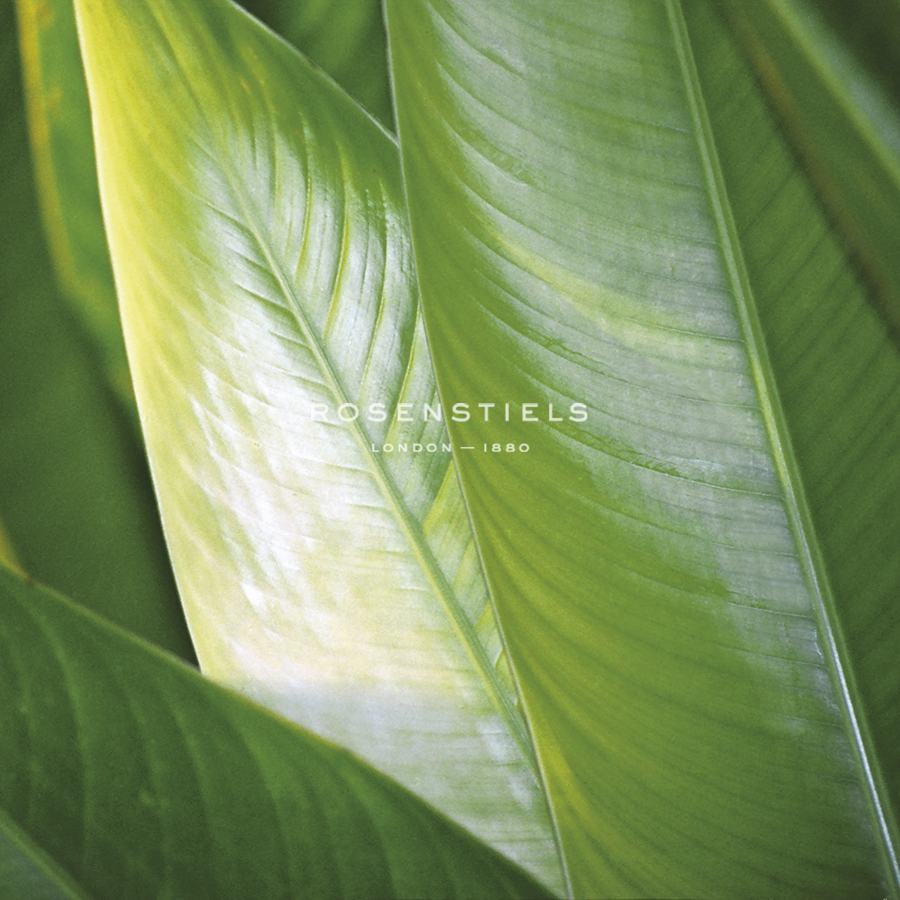 Flora Tropical - Gloss - Tony Koukos