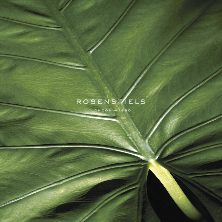 Flora Tropical - Leaf - Tony Koukos
