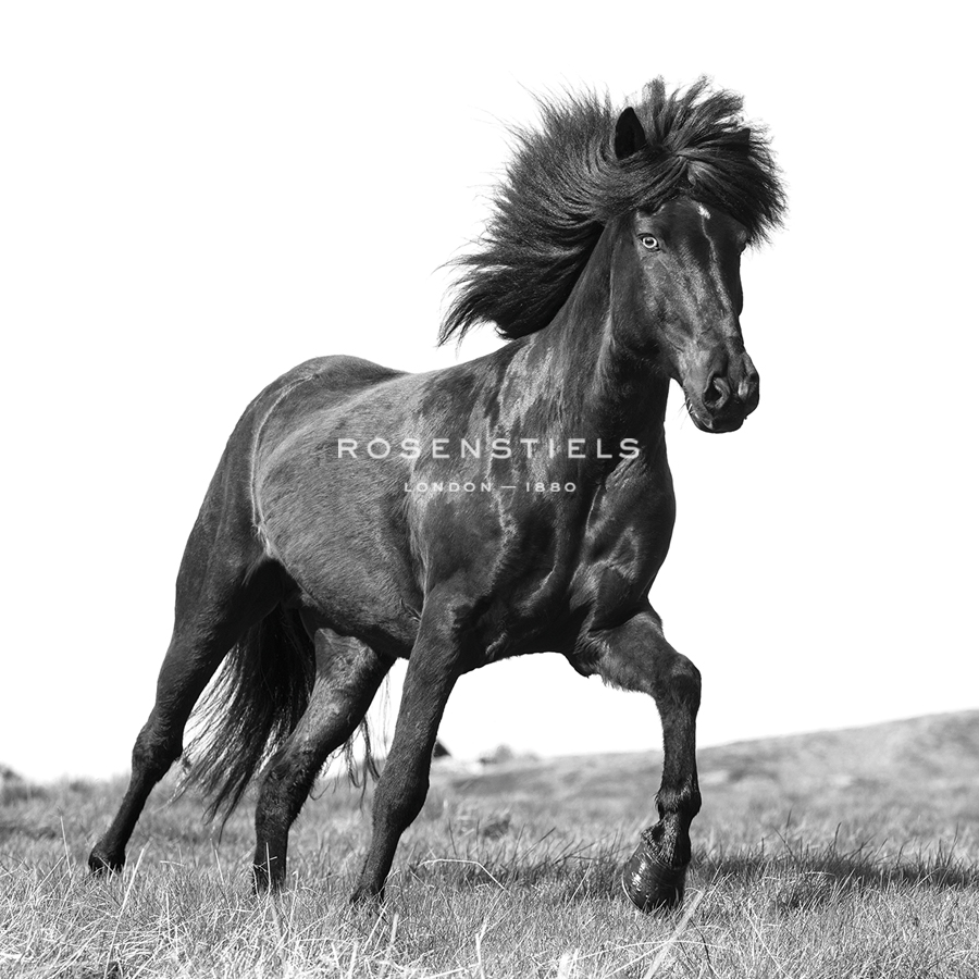 Beautiful and Free - Tim Mannakee