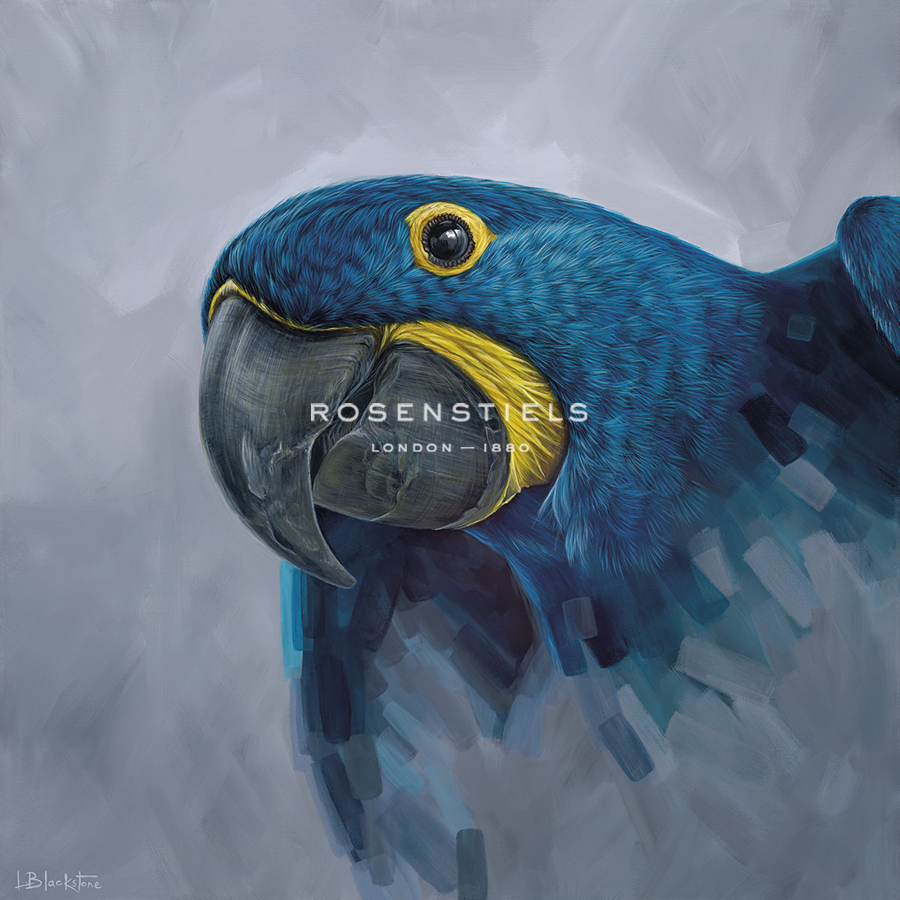 Hyacinth Macaw  - Lucy Blackstone