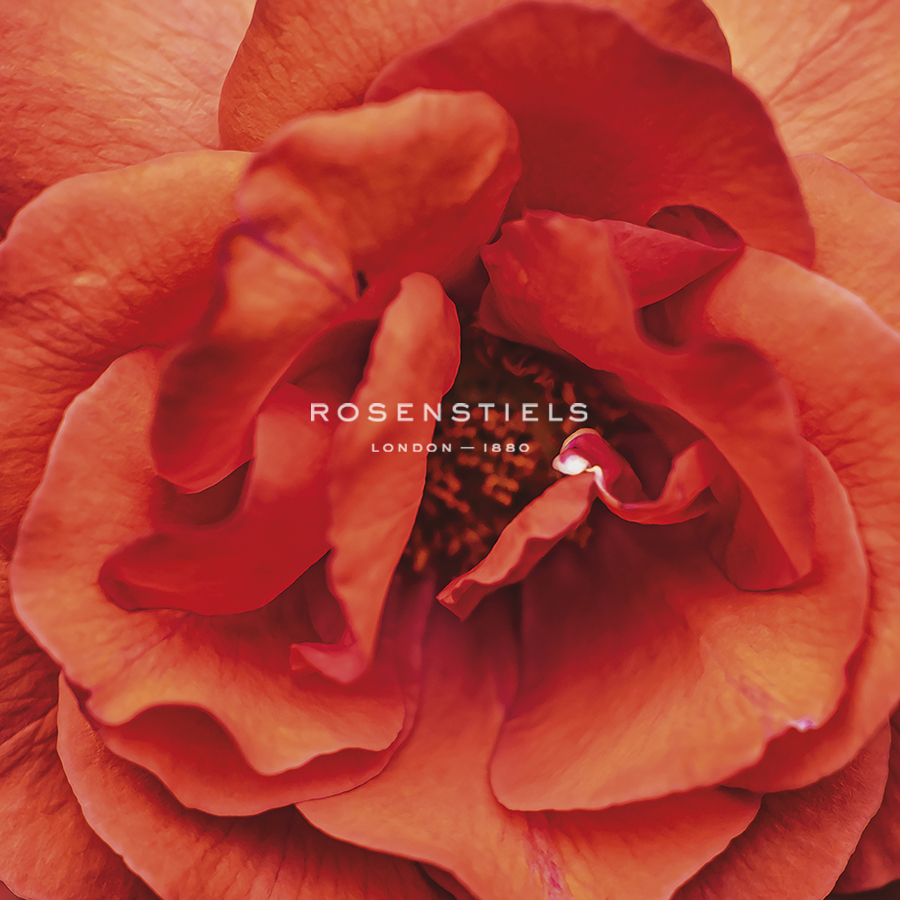 Soft Petals - Florian Schleinig